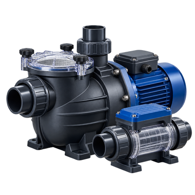 Swimming Pool Pumps